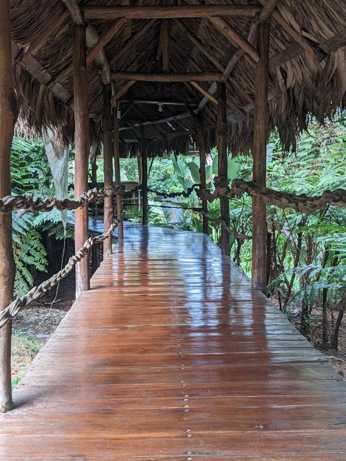 Corcovado Mountain House Drake Bay Exterior foto
