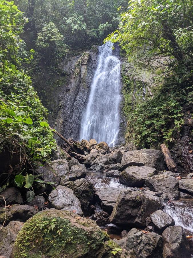 Corcovado Mountain House Drake Bay Exterior foto